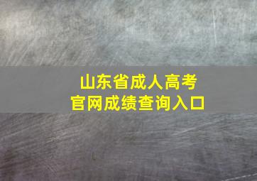 山东省成人高考官网成绩查询入口