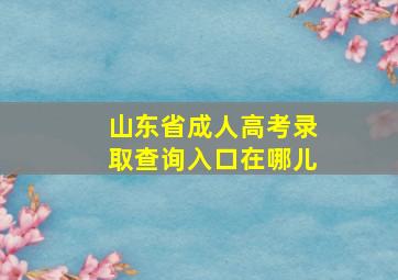 山东省成人高考录取查询入口在哪儿