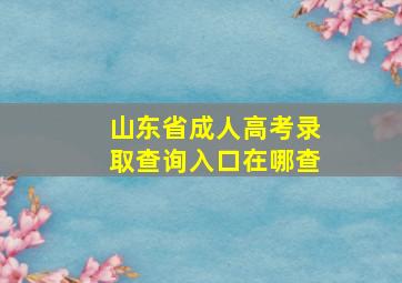 山东省成人高考录取查询入口在哪查