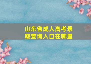 山东省成人高考录取查询入口在哪里