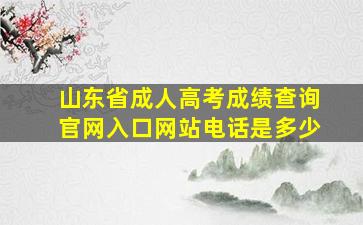 山东省成人高考成绩查询官网入口网站电话是多少