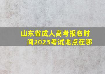 山东省成人高考报名时间2023考试地点在哪