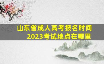 山东省成人高考报名时间2023考试地点在哪里