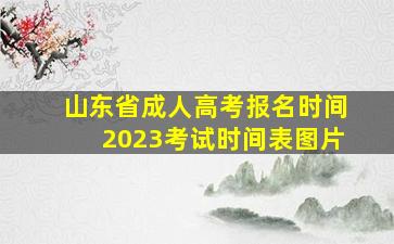 山东省成人高考报名时间2023考试时间表图片