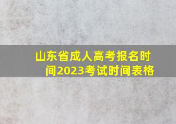 山东省成人高考报名时间2023考试时间表格