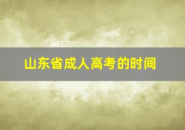 山东省成人高考的时间