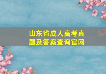 山东省成人高考真题及答案查询官网