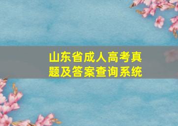 山东省成人高考真题及答案查询系统