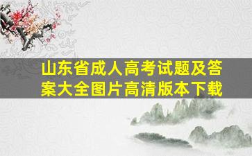 山东省成人高考试题及答案大全图片高清版本下载