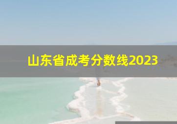 山东省成考分数线2023