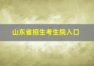 山东省招生考生院入口