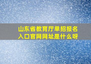 山东省教育厅单招报名入口官网网址是什么呀