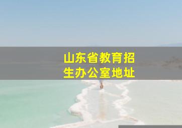 山东省教育招生办公室地址