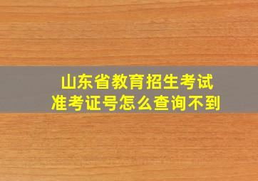 山东省教育招生考试准考证号怎么查询不到