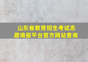 山东省教育招生考试志愿填报平台官方网站查询