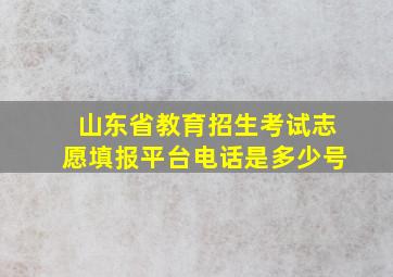 山东省教育招生考试志愿填报平台电话是多少号