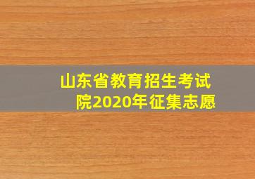 山东省教育招生考试院2020年征集志愿