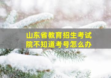 山东省教育招生考试院不知道考号怎么办