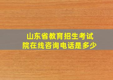 山东省教育招生考试院在线咨询电话是多少