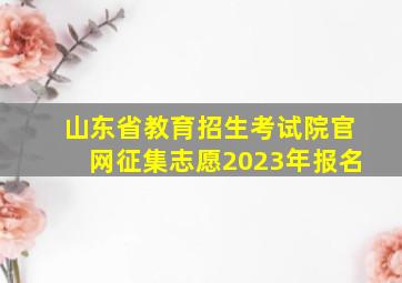 山东省教育招生考试院官网征集志愿2023年报名