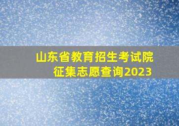 山东省教育招生考试院征集志愿查询2023