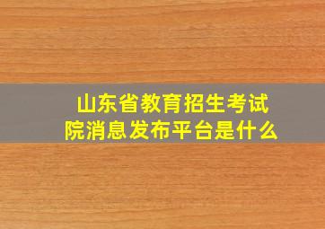 山东省教育招生考试院消息发布平台是什么