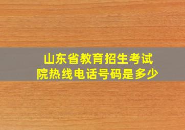 山东省教育招生考试院热线电话号码是多少