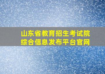 山东省教育招生考试院综合信息发布平台官网