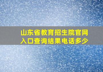 山东省教育招生院官网入口查询结果电话多少