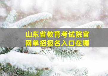 山东省教育考试院官网单招报名入口在哪