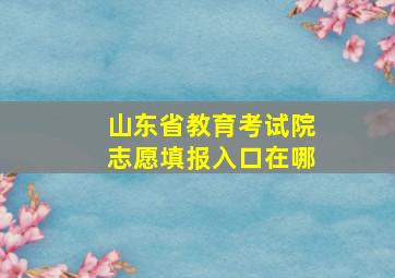 山东省教育考试院志愿填报入口在哪