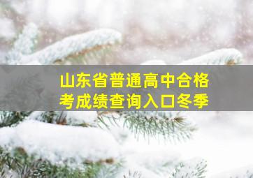 山东省普通高中合格考成绩查询入口冬季