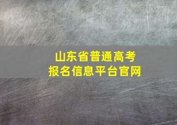 山东省普通高考报名信息平台官网