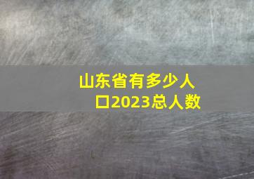 山东省有多少人口2023总人数