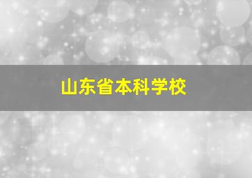 山东省本科学校