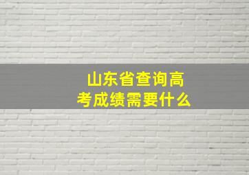 山东省查询高考成绩需要什么