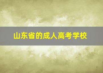 山东省的成人高考学校