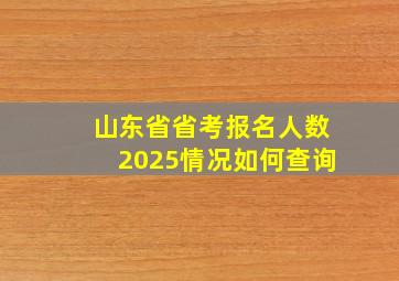 山东省省考报名人数2025情况如何查询