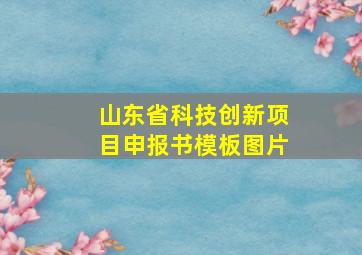 山东省科技创新项目申报书模板图片