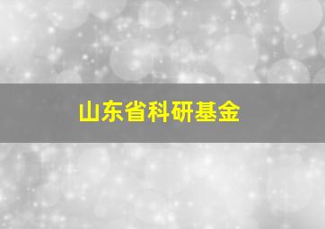 山东省科研基金