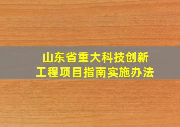 山东省重大科技创新工程项目指南实施办法