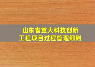 山东省重大科技创新工程项目过程管理细则