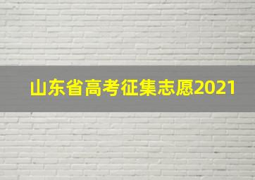 山东省高考征集志愿2021