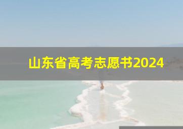 山东省高考志愿书2024