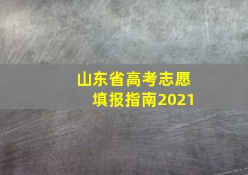 山东省高考志愿填报指南2021