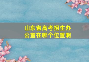 山东省高考招生办公室在哪个位置啊