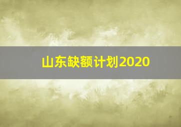 山东缺额计划2020