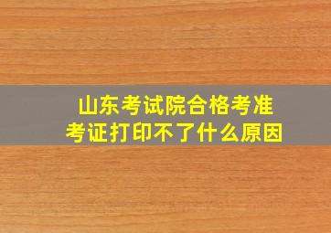 山东考试院合格考准考证打印不了什么原因