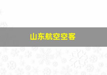 山东航空空客