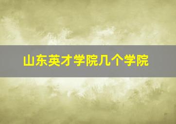 山东英才学院几个学院